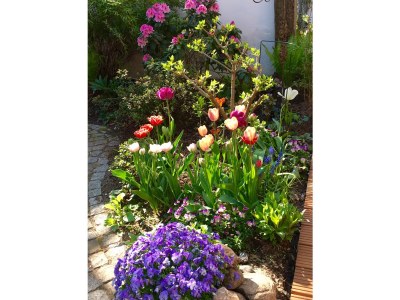 Holiday house red Remise - Outdoor photo 4