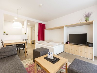 Holiday park Apartment near Ski slope - Features photo 11