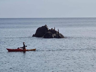 Apartment Wohnung in Calella nahe Sandstrand - Environment photo 40