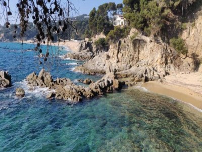 Villa Villa near Beach & Town Center in Spain - Environment photo 20