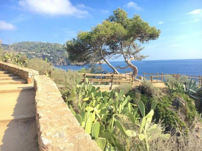 Villa Villa in Llafranc nahe Sandstrand - Environment photo 35