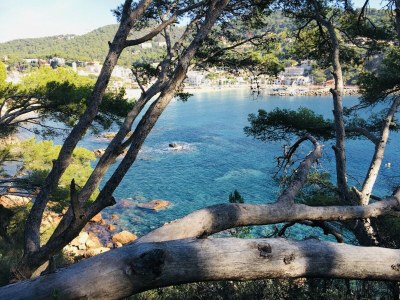 Apartment Apartment in Llafranc near Serene Beach - Environment photo 15