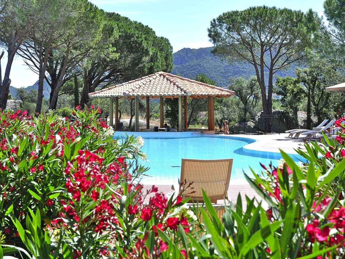 Holiday park Apartment in Corsica near Palombaggia Beach - Outdoor photo 3