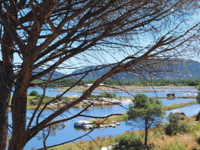 Holiday park Apartment in Corsica near Palombaggia Beach - Outdoor photo 27