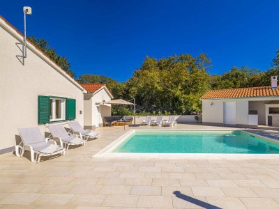 Holiday house Holiday house VILLA ANTON with private pool - Outdoor photo 4
