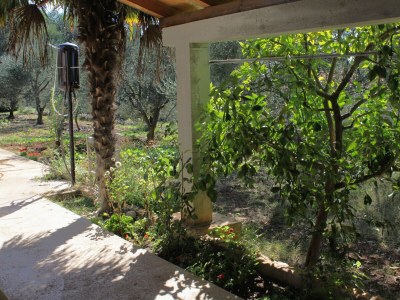 Apartment One bedroom apartment with terrace Kožino, Zadar A-678-a - Outdoor photo 23