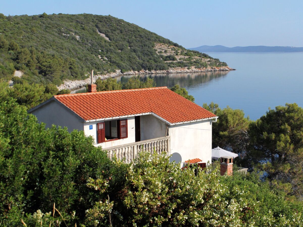 Apartment Two bedroom apartment with terrace and sea view Savar, Dugi otok A-892-a