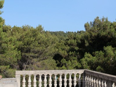 Apartment Two bedroom apartment with terrace and sea view Savar, Dugi otok A-892-a - Outdoor photo 27