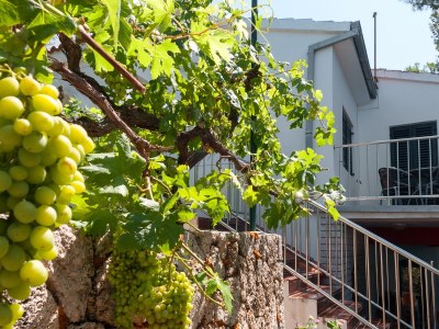 Apartment Two bedroom apartment with balcony and sea view Mimice, Omiš A-2972-c - Outdoor photo 4