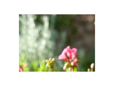 Apartment Two bedroom apartment with balcony and sea view Mimice, Omiš A-2972-c - Outdoor photo 12