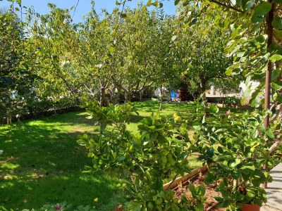 Apartment Two bedroom apartment with terrace Čižići, Krk A-19177-b - Outdoor photo 10