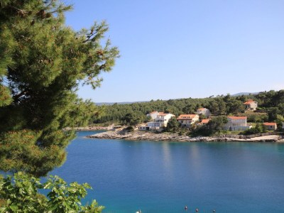 Apartment Four-bedroom apartment near beach Basina, Hvar A-8749-a - Outdoor photo 30