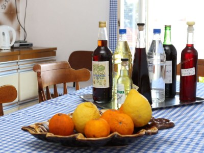 Apartment Three bedroom apartment with terrace Orebić, Pelješac A-10202-a - Outdoor photo 18