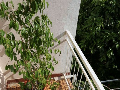 Apartment Three bedroom apartment with terrace Orebić, Pelješac A-10202-a - Outdoor photo 45