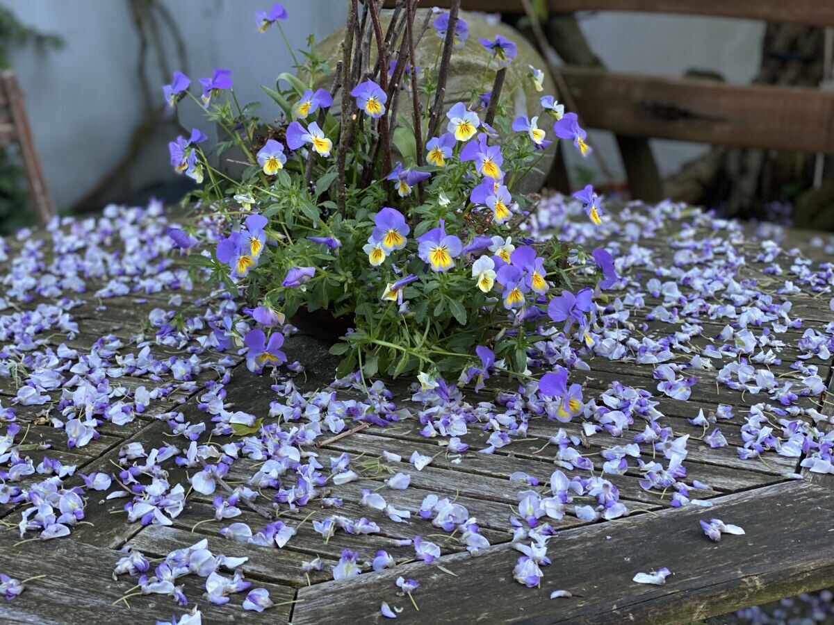Holiday apartment Rue de la Klut`ure - Outdoor photo 3