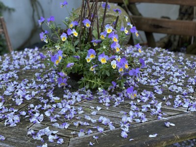 Holiday apartment Rue de la Klut`ure - Outdoor photo 3