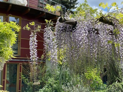 Holiday apartment Rue de la Klut`ure - Outdoor photo 6