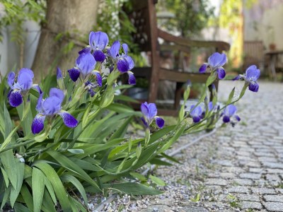 Holiday apartment Rue de la Klut`ure - Outdoor photo 8