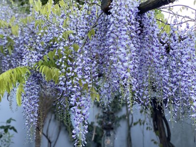 Holiday apartment Rue de la Klut`ure - Outdoor photo 9