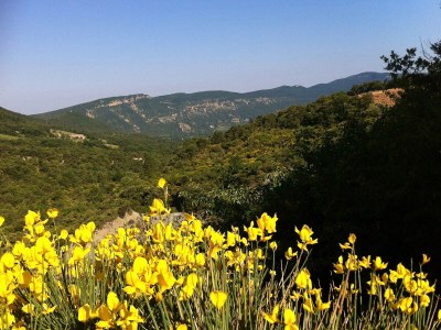 Holiday house No title - Environment photo 27