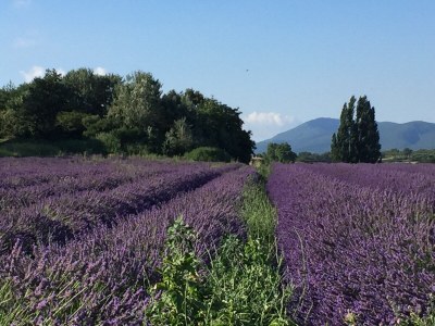 Holiday house No title - Environment photo 28