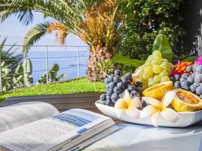 Bungalow Quinta Golfinho - Casa Nenufar - Outdoor photo 7