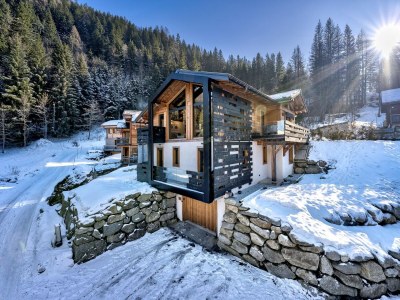 Chalet Ruhiges Bergchalet, Tal von Chamonix in Argentière - Chalet