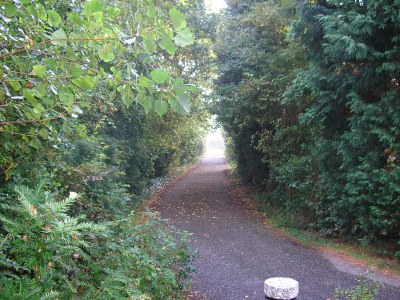 Bungalow Small-Duinoord : Populier - Environment photo 22