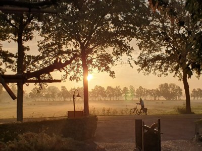 Cottage Holiday home in Overberg with garden and terrace - Outdoor photo 6
