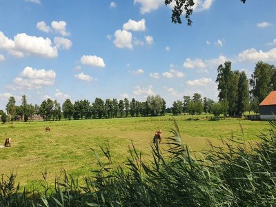 Cottage Holiday home in Overberg with garden and terrace - Environment photo 29