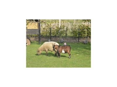 Cottage Holiday home in Overberg with garden and terrace - Environment photo 30