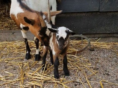 Cottage Holiday home in Overberg with garden and terrace - Environment photo 31