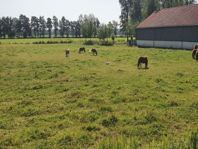Cottage Holiday home in Overberg with garden and terrace - Environment photo 33