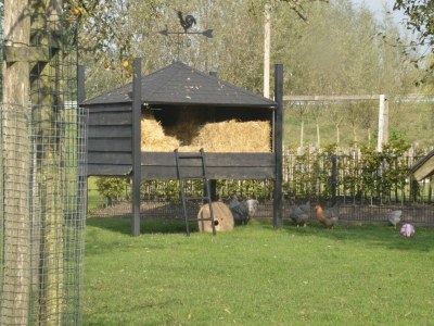Cottage Holiday home in Overberg with garden and terrace - Outdoor photo 40