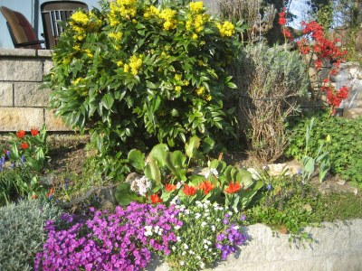 Holiday apartment Studio Apartment HA-WEI - Outdoor photo 6