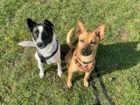 Butt & Familie Kartheuser