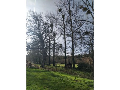 Holiday house Gîte Convivial - Outdoor photo 12