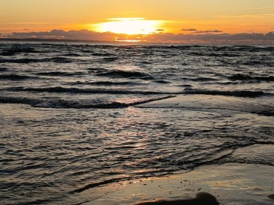 Holiday house Gîte Convivial - Environment photo 37