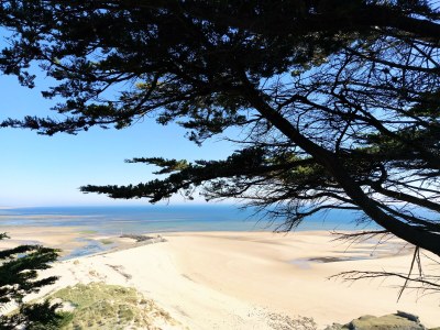 Holiday house Gîte Convivial - Environment photo 39