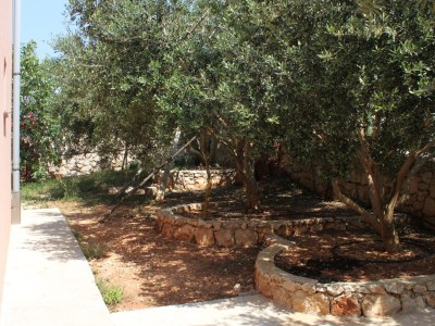 Apartment One bedroom apartment with terrace and sea view Novalja, Pag A-6341-b - Outdoor photo 5