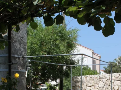 Apartment One bedroom apartment with balcony and sea view Novalja, Pag A-6341-d - Outdoor photo 14