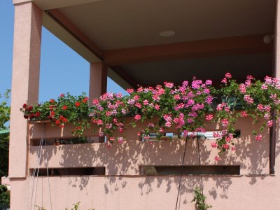 Holiday room with balcony and sea view Novalja, Pag S-6341-d - Outdoor photo 8