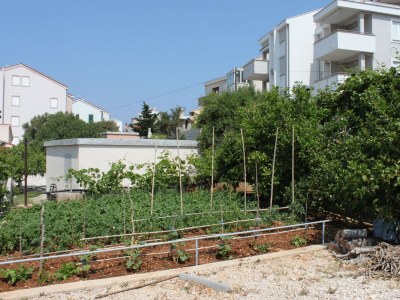 Holiday room with balcony and sea view Novalja, Pag S-6341-d - Outdoor photo 10