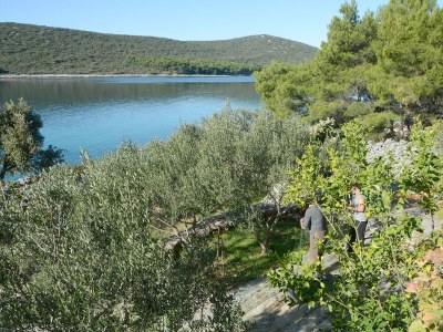 Holiday house Three bedroom house near beach Cove Žinčena, Pašman K-12982 - Outdoor photo 5