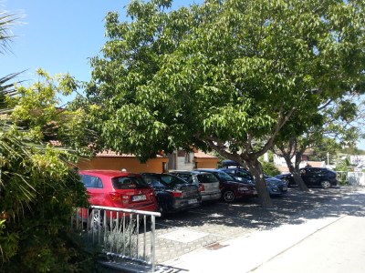 Apartment Two bedroom apartment with air-conditioning Gradac, Makarska A-13681-b - Outdoor photo 6