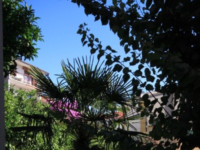 Apartment Two bedroom apartment with balcony and sea view Podgora, Makarska A-316-c - Outdoor photo 4