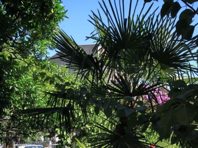 Apartment Two bedroom apartment with balcony and sea view Podgora, Makarska A-316-c - Outdoor photo 5