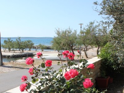 Holiday room near beach Kustići, Pag S-6288-b - Outdoor photo 11