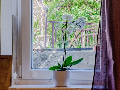 Apartment Studio flat with terrace Korčula AS-10051-b - Outdoor photo 29