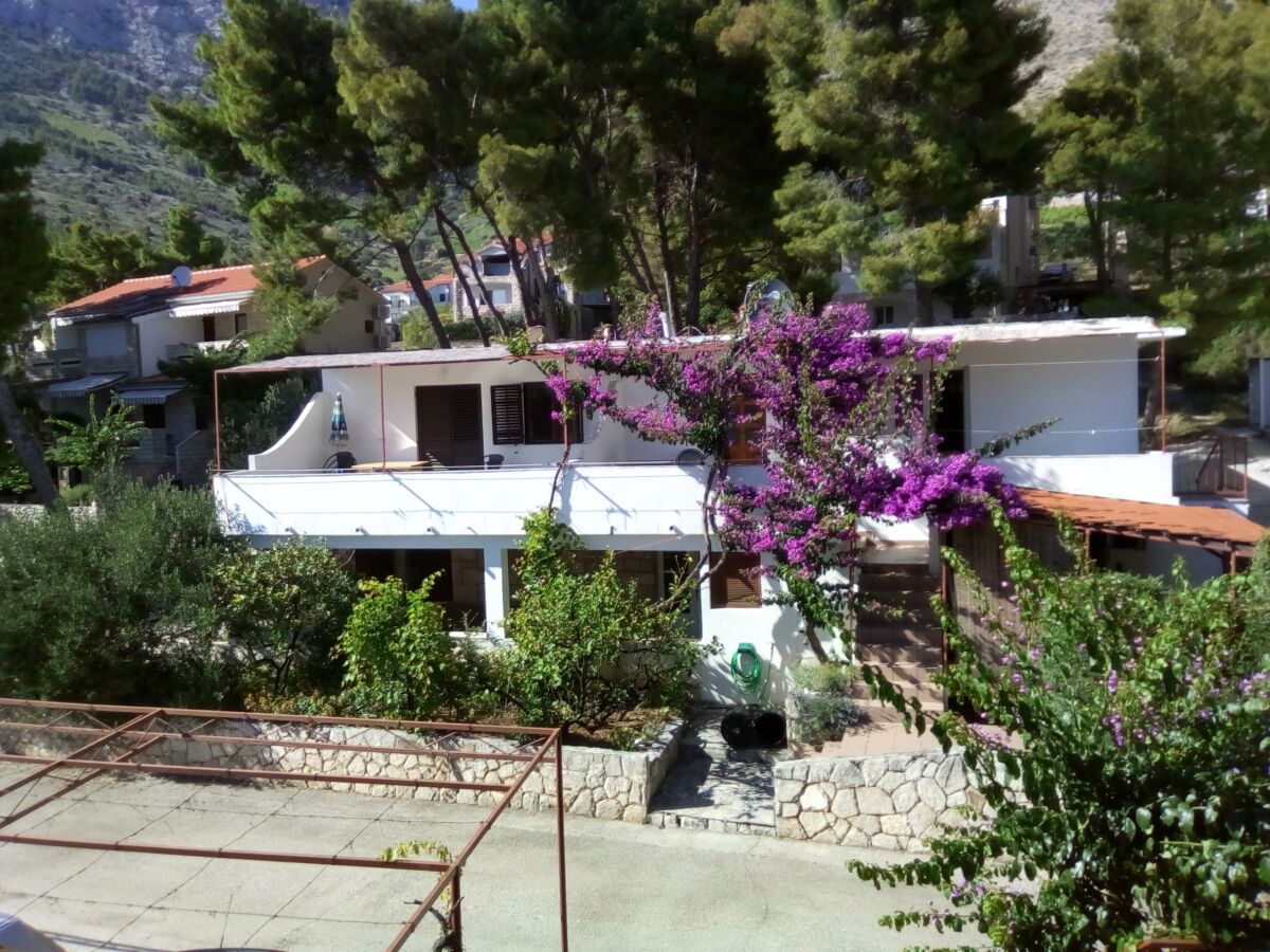 Apartment One bedroom apartment with terrace Ivan Dolac, Hvar A-18269-c - Outdoor photo 2